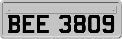 BEE3809