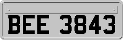 BEE3843