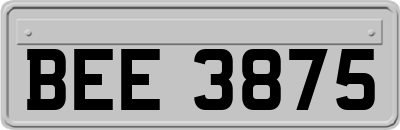 BEE3875