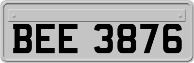 BEE3876