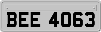 BEE4063