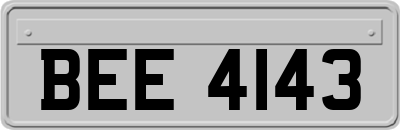 BEE4143