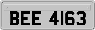 BEE4163