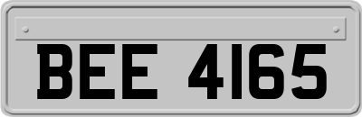 BEE4165