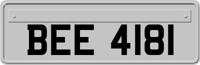 BEE4181