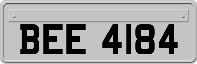 BEE4184