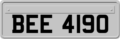 BEE4190
