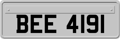 BEE4191