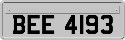 BEE4193