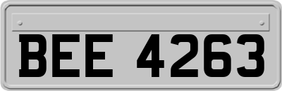 BEE4263