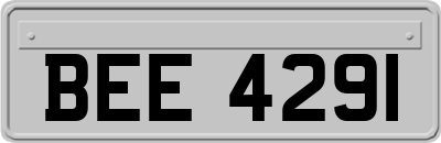 BEE4291
