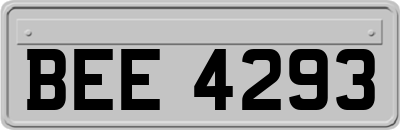 BEE4293