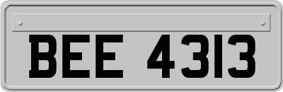 BEE4313