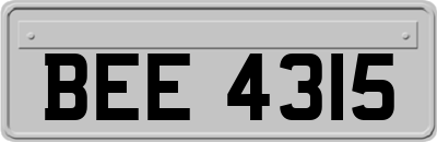 BEE4315