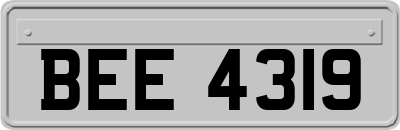 BEE4319