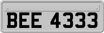 BEE4333