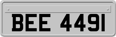 BEE4491