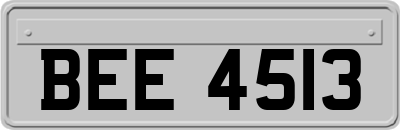 BEE4513