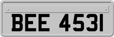 BEE4531
