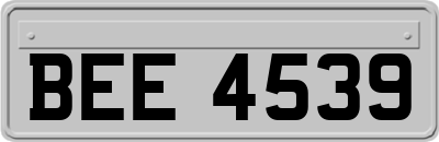 BEE4539