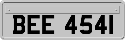 BEE4541