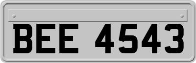 BEE4543