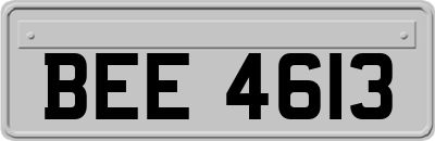 BEE4613