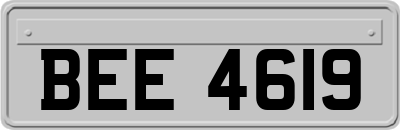 BEE4619