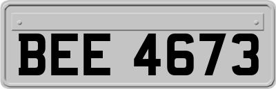 BEE4673