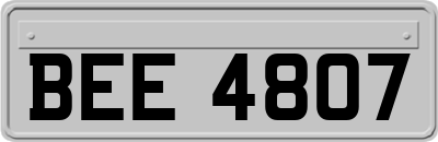 BEE4807