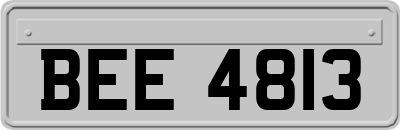 BEE4813
