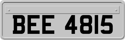 BEE4815