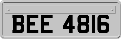 BEE4816