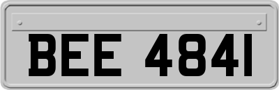 BEE4841