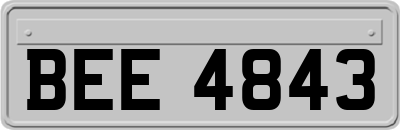 BEE4843