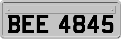 BEE4845