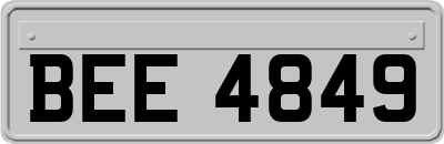 BEE4849