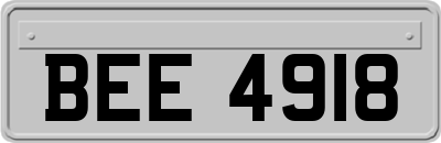 BEE4918