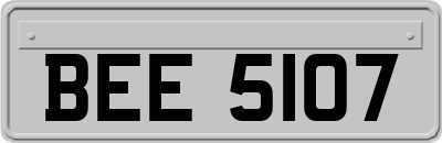 BEE5107