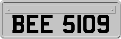 BEE5109