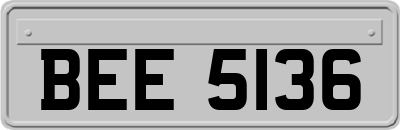 BEE5136
