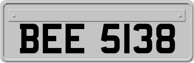BEE5138