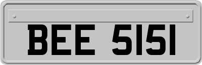 BEE5151