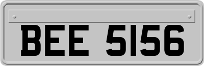 BEE5156