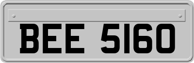 BEE5160