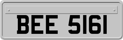 BEE5161