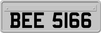 BEE5166
