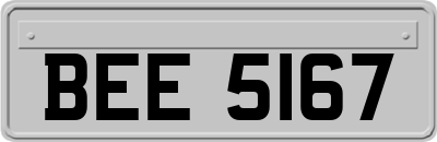 BEE5167