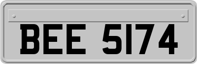 BEE5174