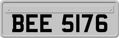 BEE5176